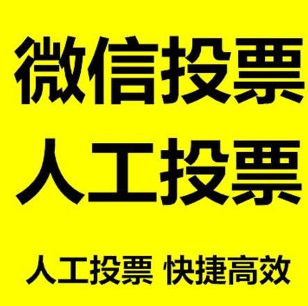 杭州市投票活动拉票能被查出来吗？如何操作能不被发现？